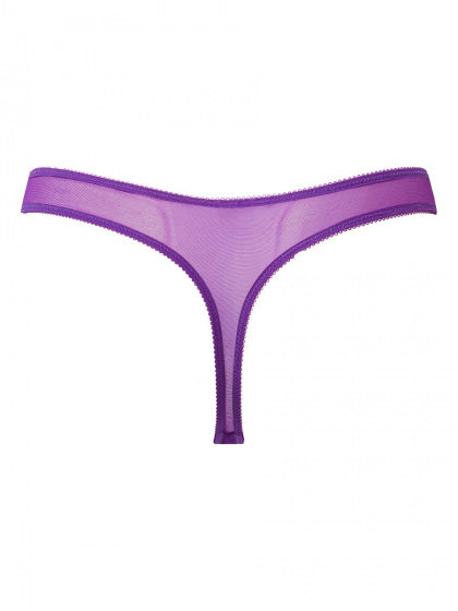 Glossies Lace Thong In Ultra Violet - Gossard - BraTopia