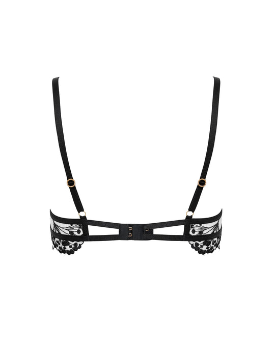Marisa Wired Bra In Black & Sheer - Bluebella