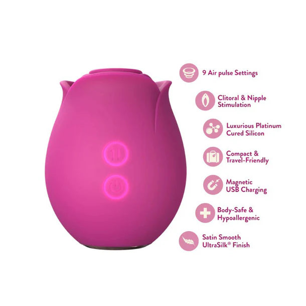 The Original Blush Rose In Blush - Blush