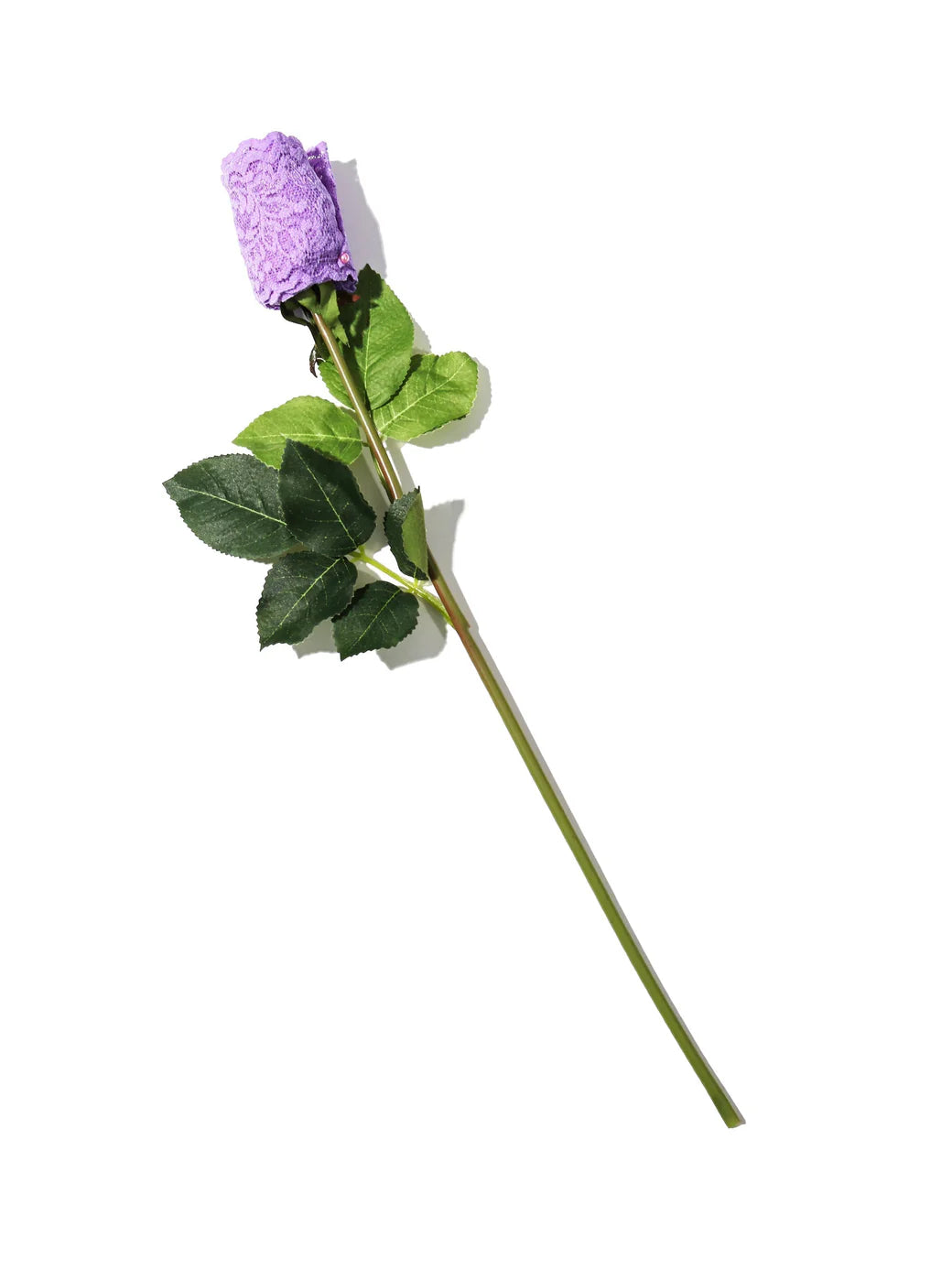 Original Rise Signature Lace Thong In Electric Orchid - Hanky Panky