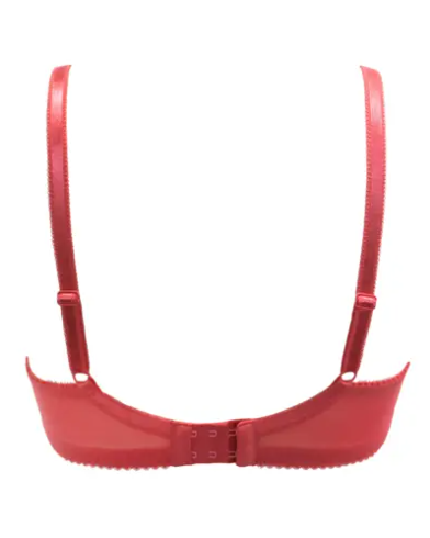 Amour Non Padded Underwired Bra In Rose & Soft Pink - Pour Moi - BraTopia