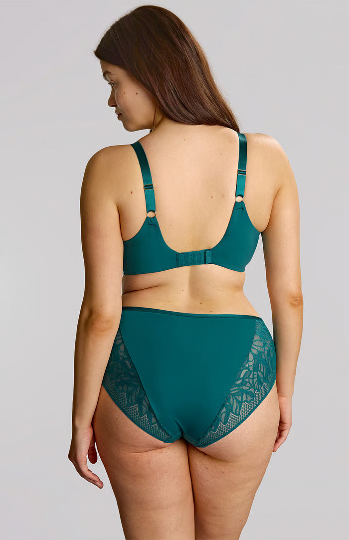 Sophia Deep Brief In Teal Blue - Sculptresse