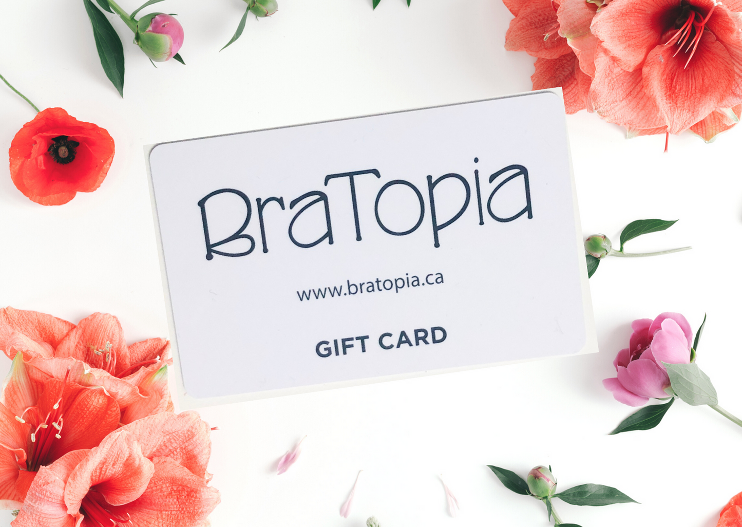 BraTopia's Physical Gift Card - BraTopia