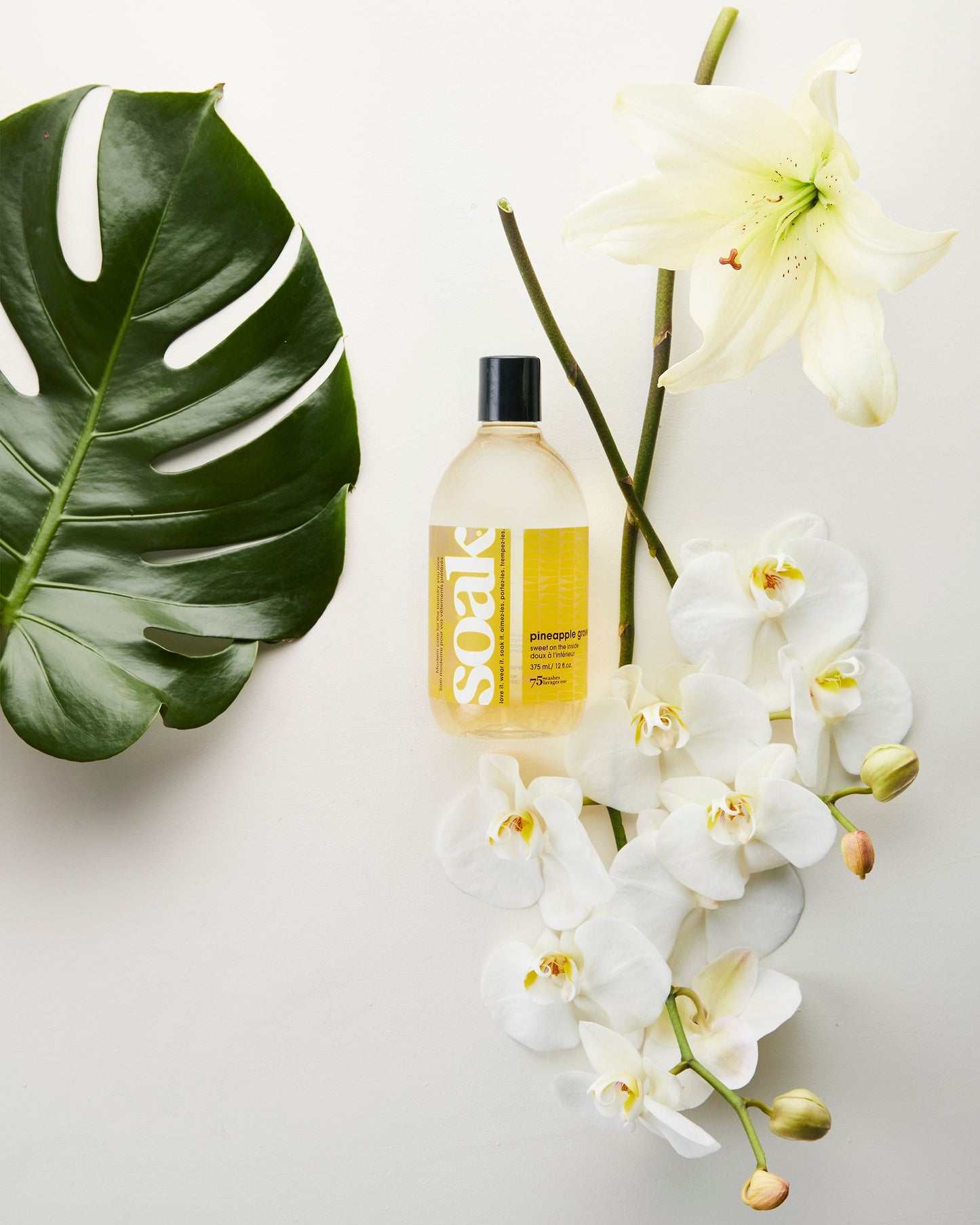 Soak Wash 375mL Pineapple Grove - BraTopia