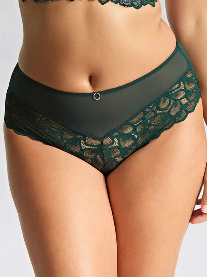 Allure Deep Brief In Forest Green - Panache
