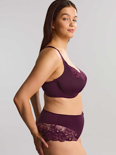 Amara Deep Brief in Plum - Sculptresse