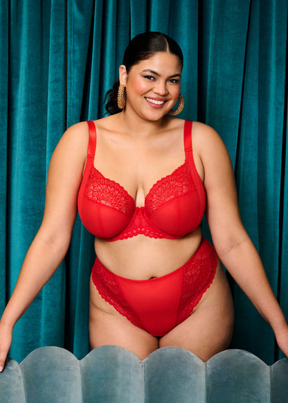 Tiernie UW Plunge Bra In Red - Elomi