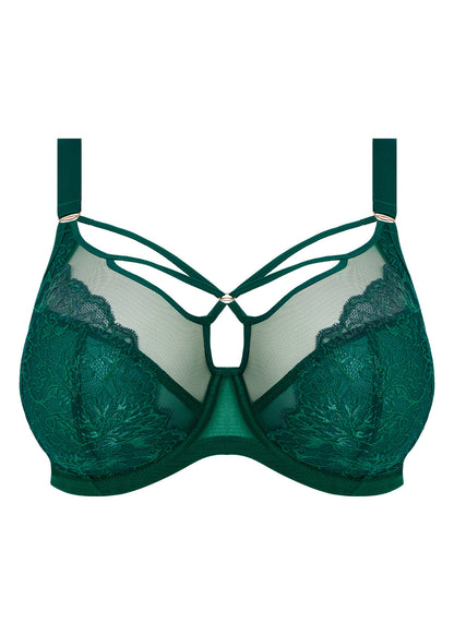 Brianna Underwired Plunge Bra In Rainforest - Elomi