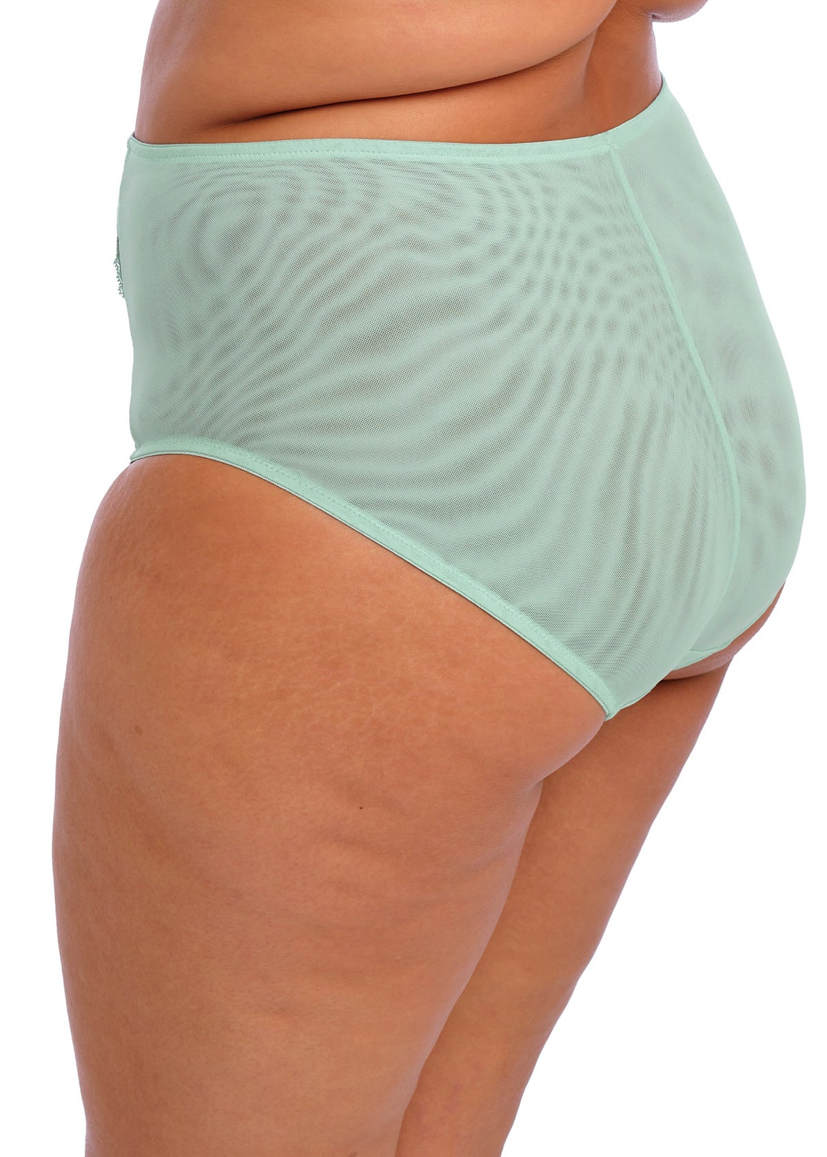 Brianna Full Brief In Frozen - Elomi