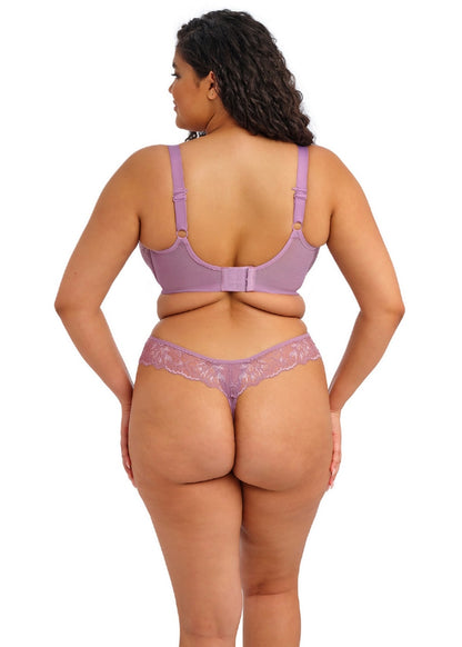Brianna Thong in Heather - Elomi