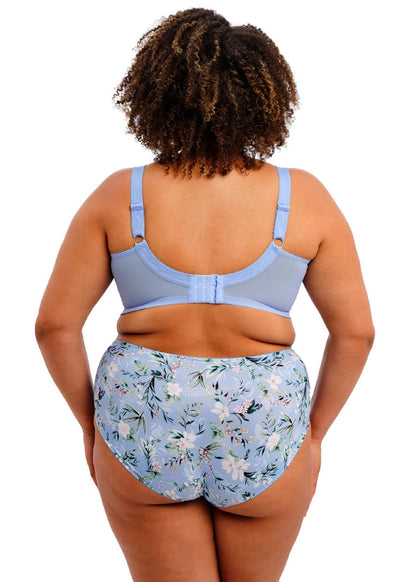 Kayla Full Brief in Cornflower - Goddess