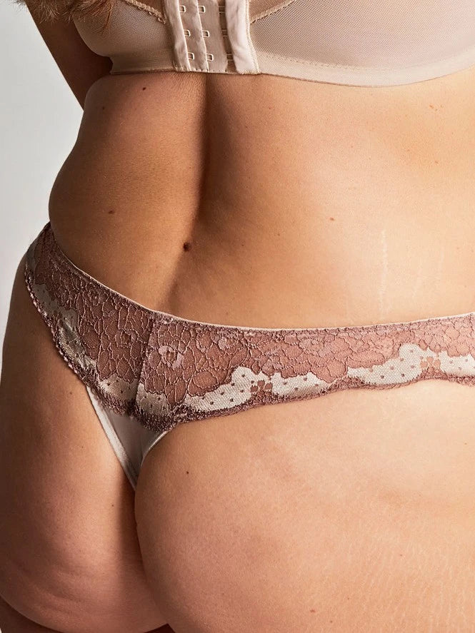 Clara Thong in Honey - Panache