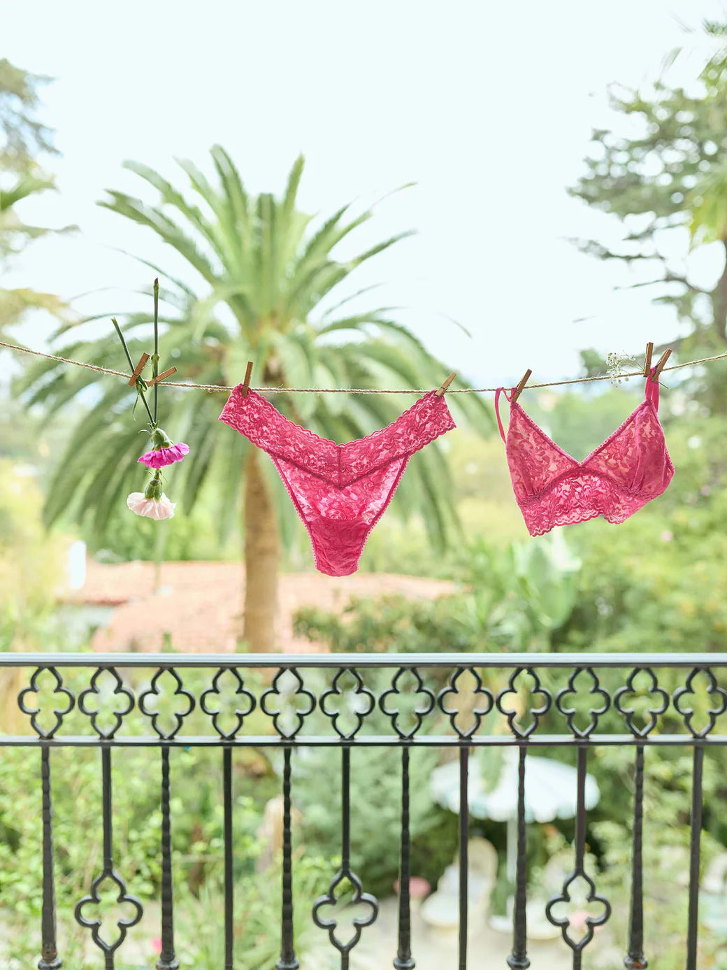 Original Rise Signature Lace Thong in Dragon Fruit Pink - Hanky Panky