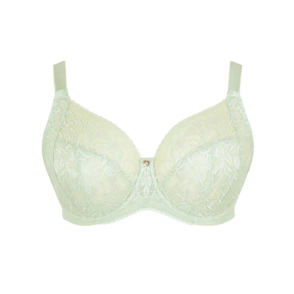 Dream Full Cup in Pistachio - Sculptresse