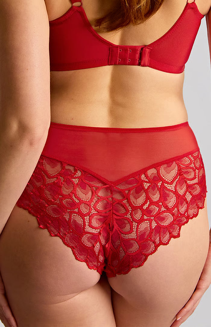 Allure Deep Brief in True Red - Panache