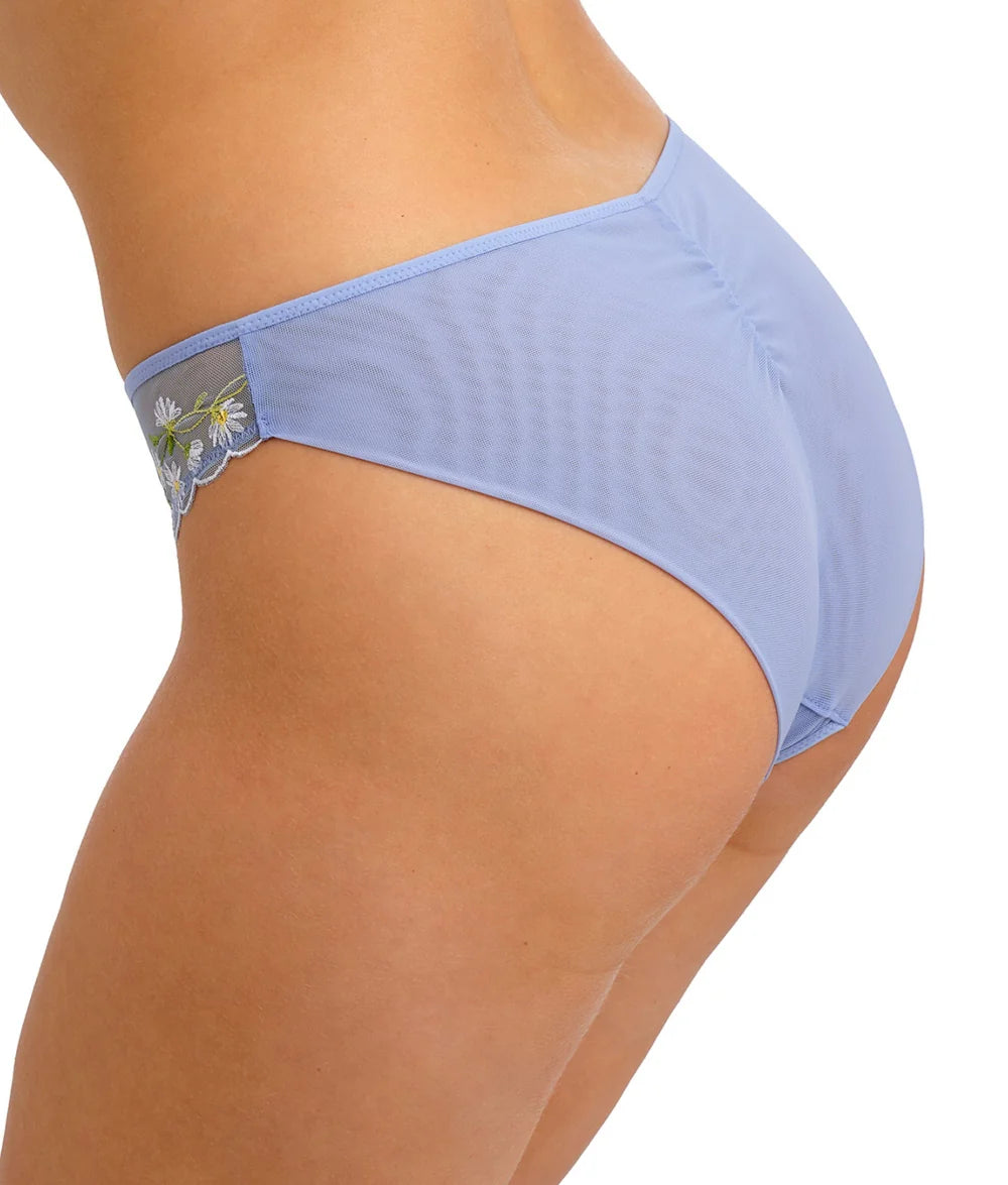 Entwined Brief in Daisy - Freya