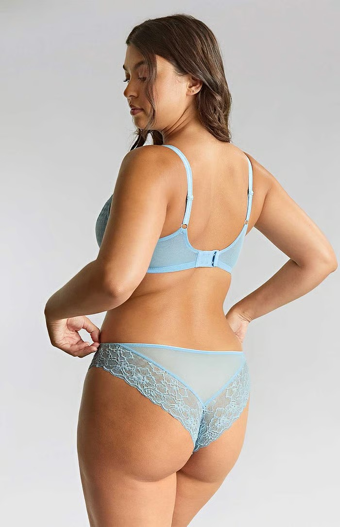 Envy Plunge Bra In Sky Blue - Panache
