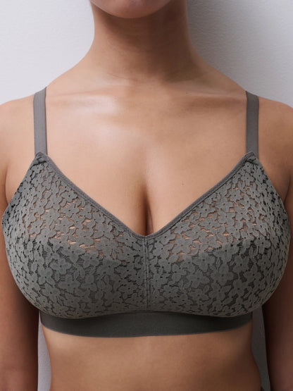 Norah Comfort Lace Wireless Bra In Vert Argile - Chantelle
