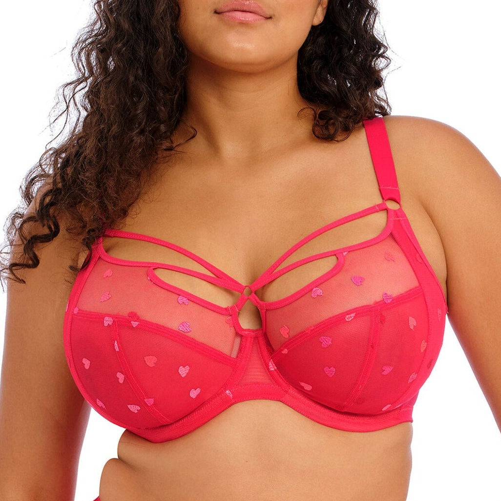 Plunge Bras  Poinsettia – Tagged size-32hh–
