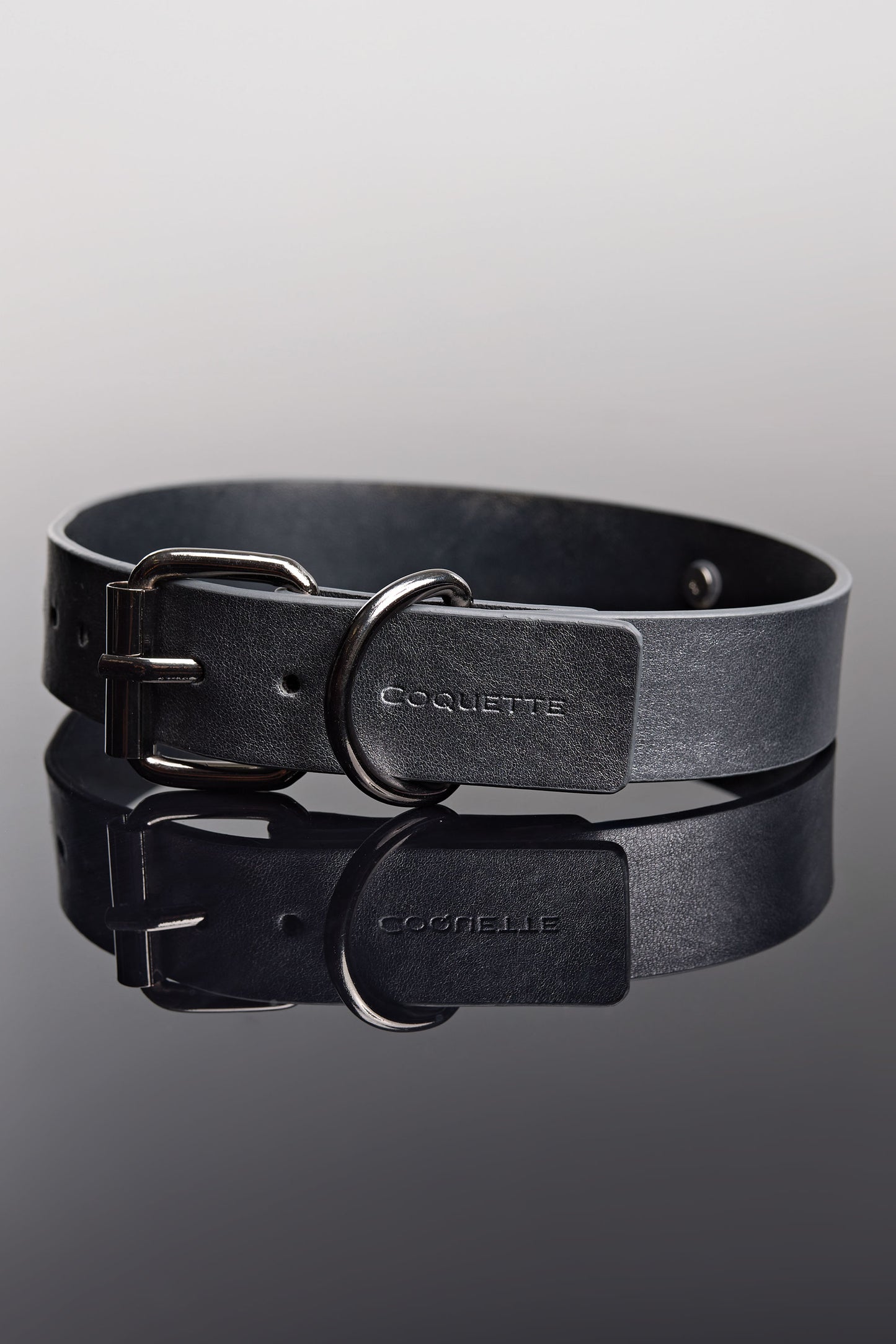 Collar & Leash Set In Grey - Coquette