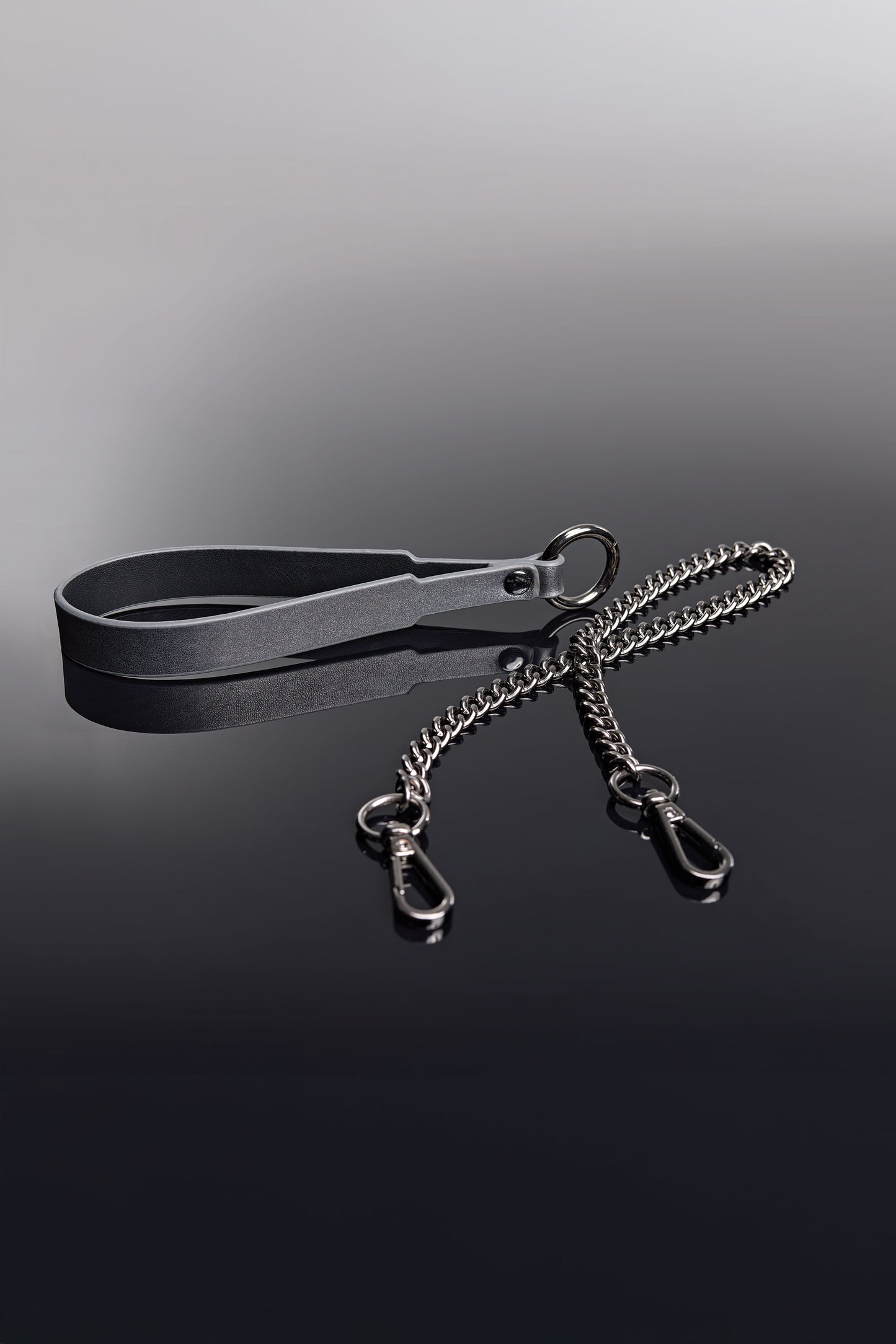 Collar & Leash Set In Grey - Coquette