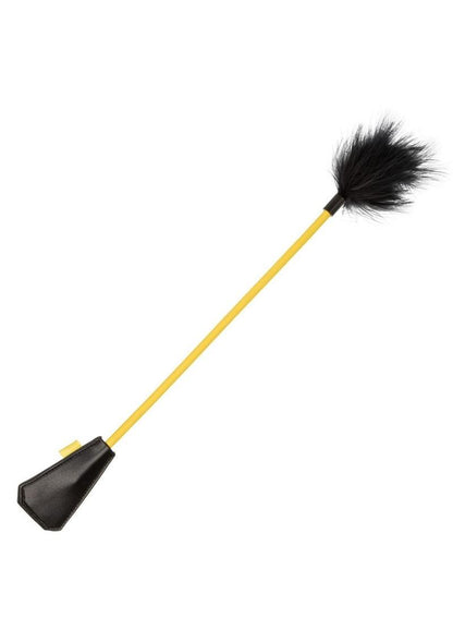 Boundless Feather Crop - BraTopia